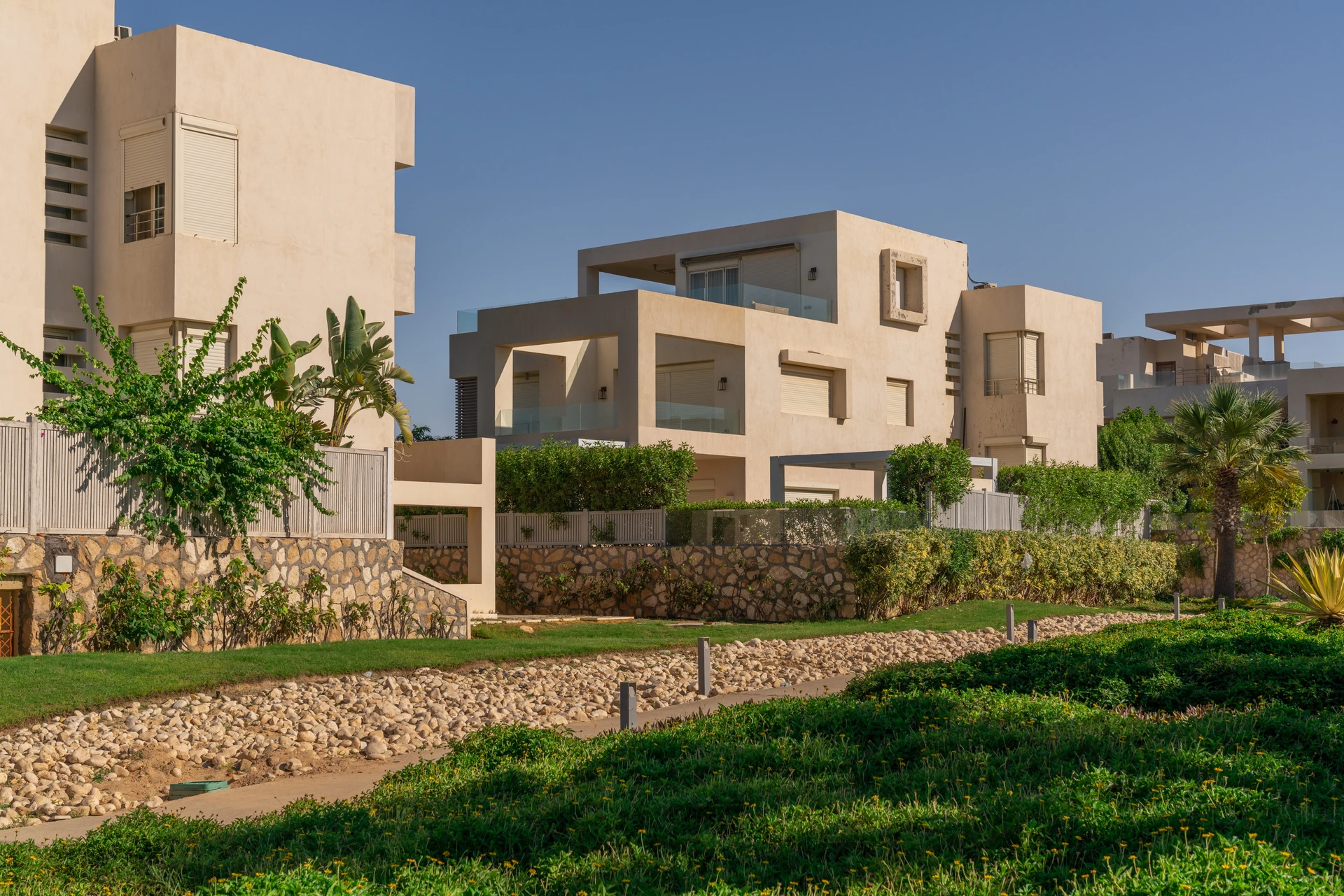 Hacienda White